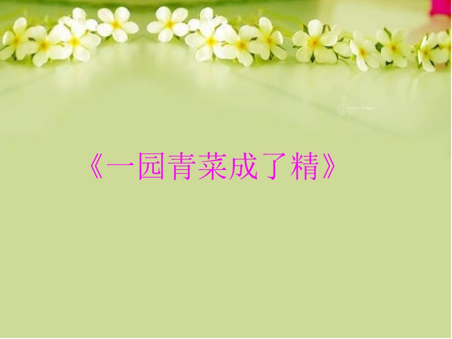 一园青菜成了精电子教案_第1页