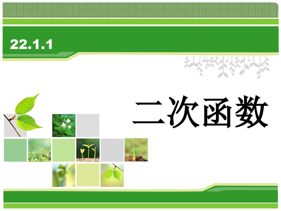 人教版九年级数学上册课件：22.1.1二次函数(共15张PPT)_第1页