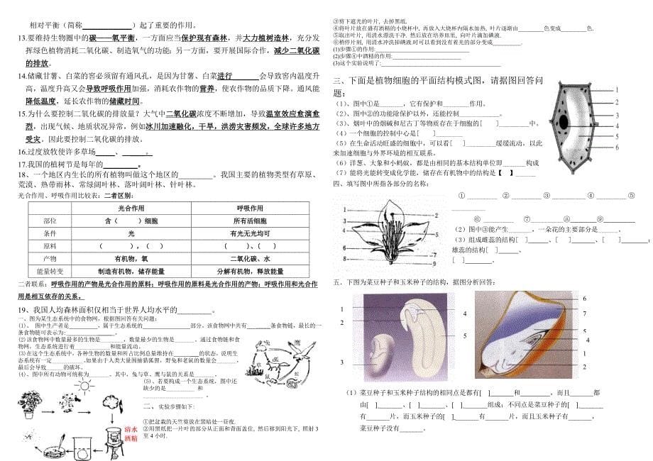 新版七年级生物上册知识点填空(非常实用).doc_第5页