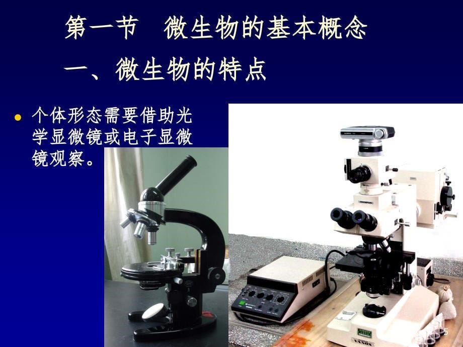 微生物学.ppt_第5页