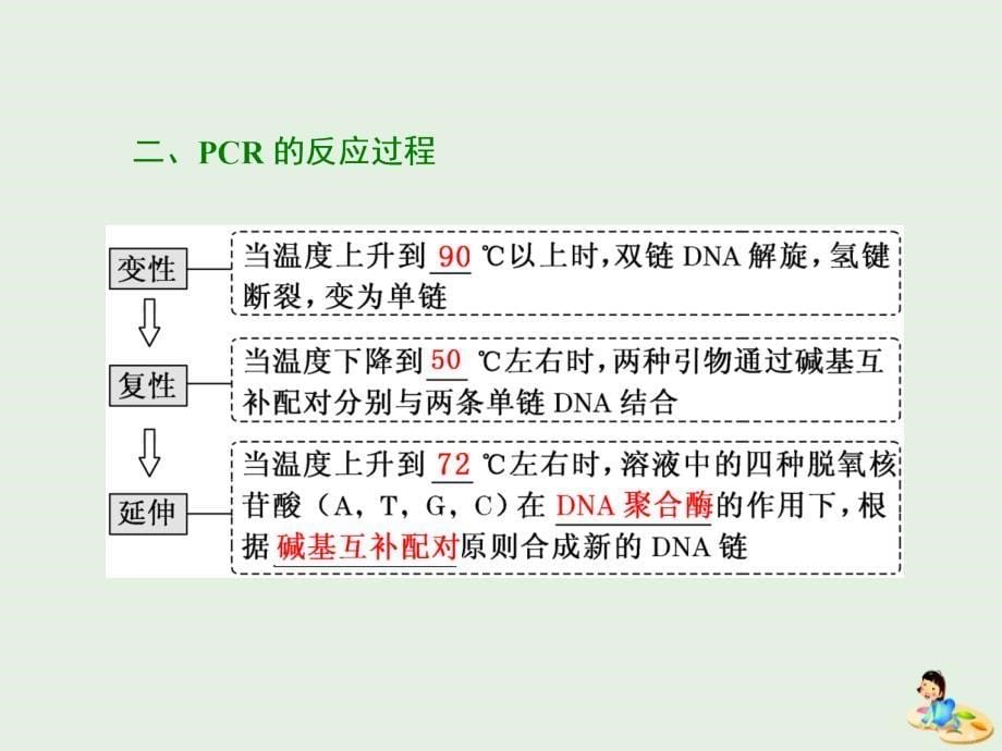 高中生物专题5课题2多聚酶链式反应扩增DNA片段课件新人教版选修1_第5页