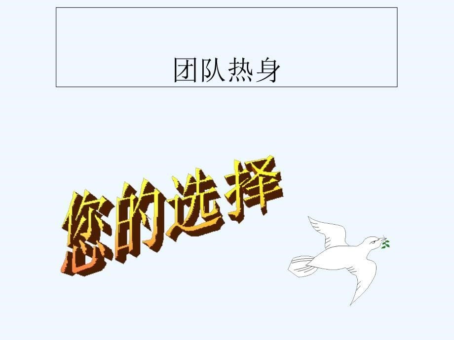 团队使命与团队建设 专业课件_第5页