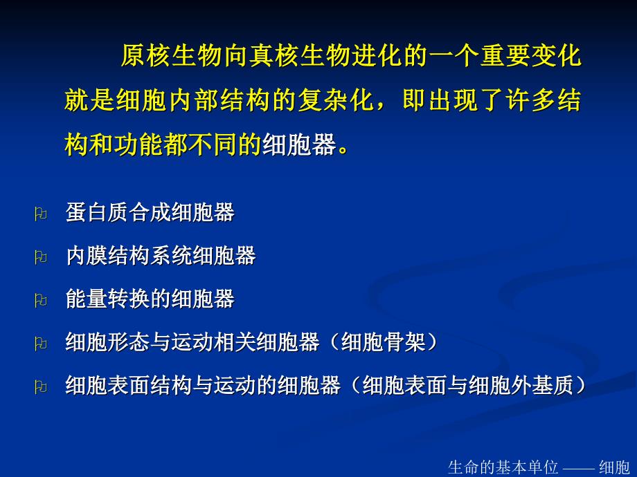 真核细胞的细胞器细胞核_第2页