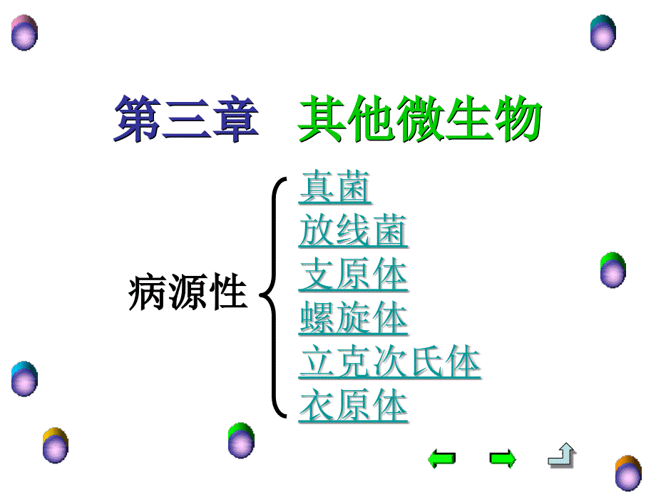 第三章其他微生物_第3页