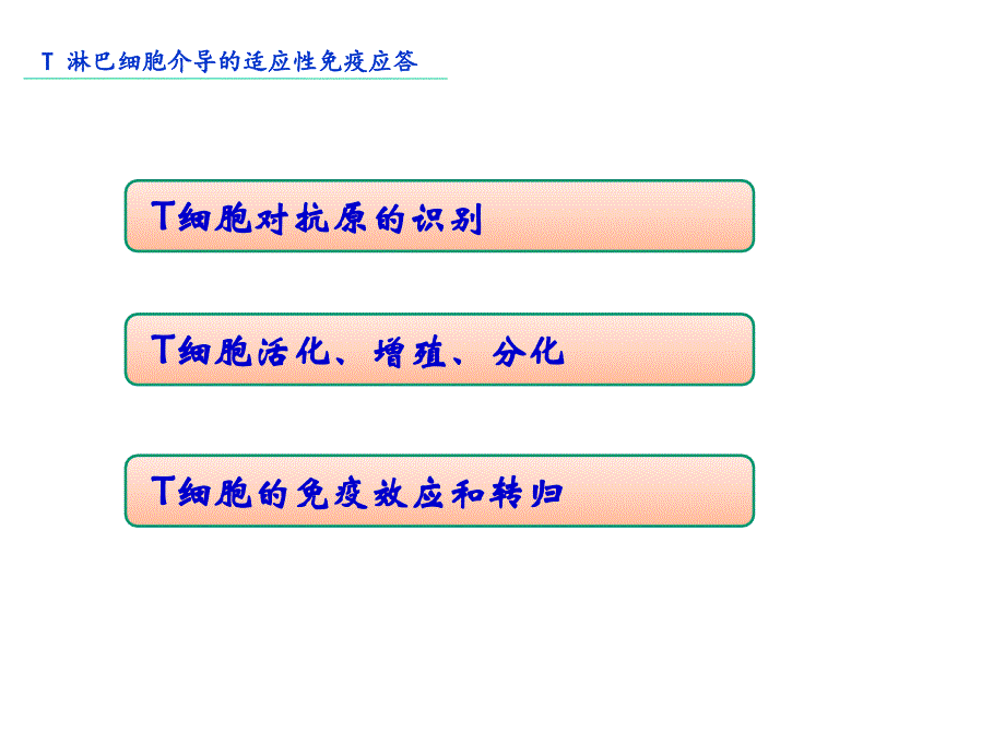 上海交通大学机体防御与免疫12.t淋巴细胞介导的适应性免疫应答_第2页