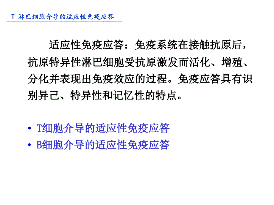 上海交通大学机体防御与免疫12.t淋巴细胞介导的适应性免疫应答_第3页