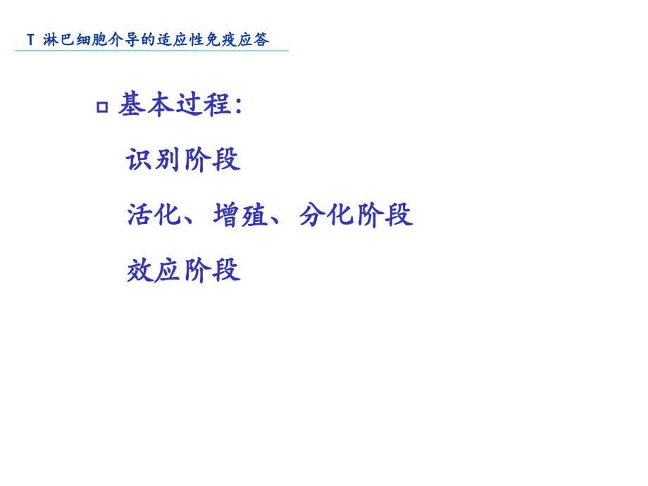 上海交通大学机体防御与免疫12.t淋巴细胞介导的适应性免疫应答_第5页