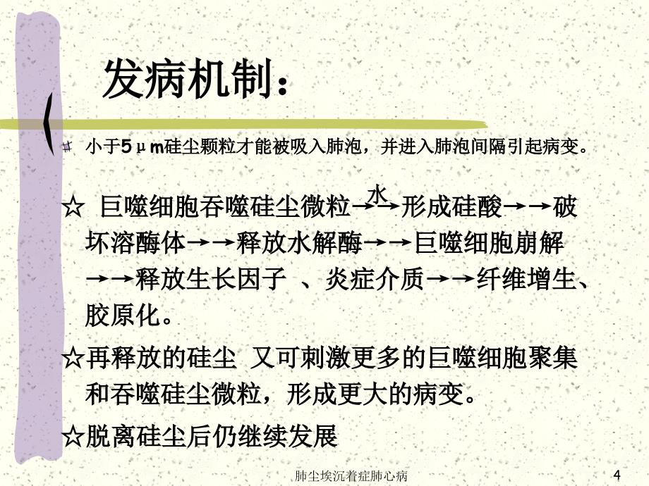 肺尘埃沉着症肺心病课件_第4页