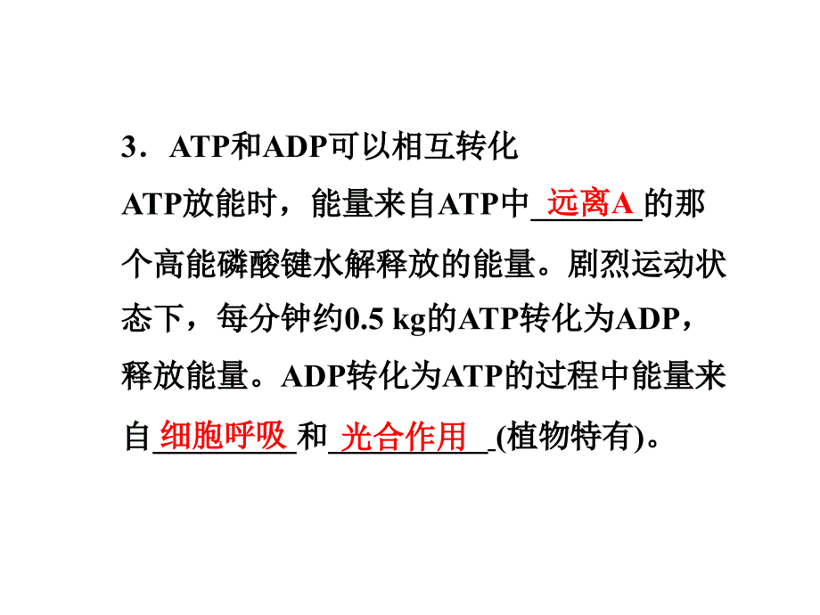 ATP的主要来源—细胞呼吸_第2页