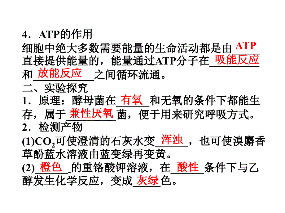 ATP的主要来源—细胞呼吸_第3页