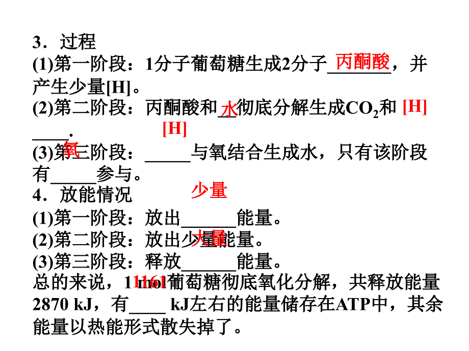 ATP的主要来源—细胞呼吸_第4页