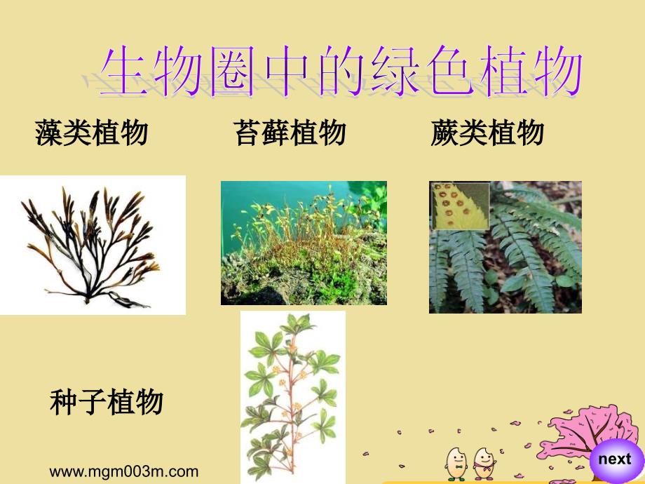 绿色植物的种类_第1页