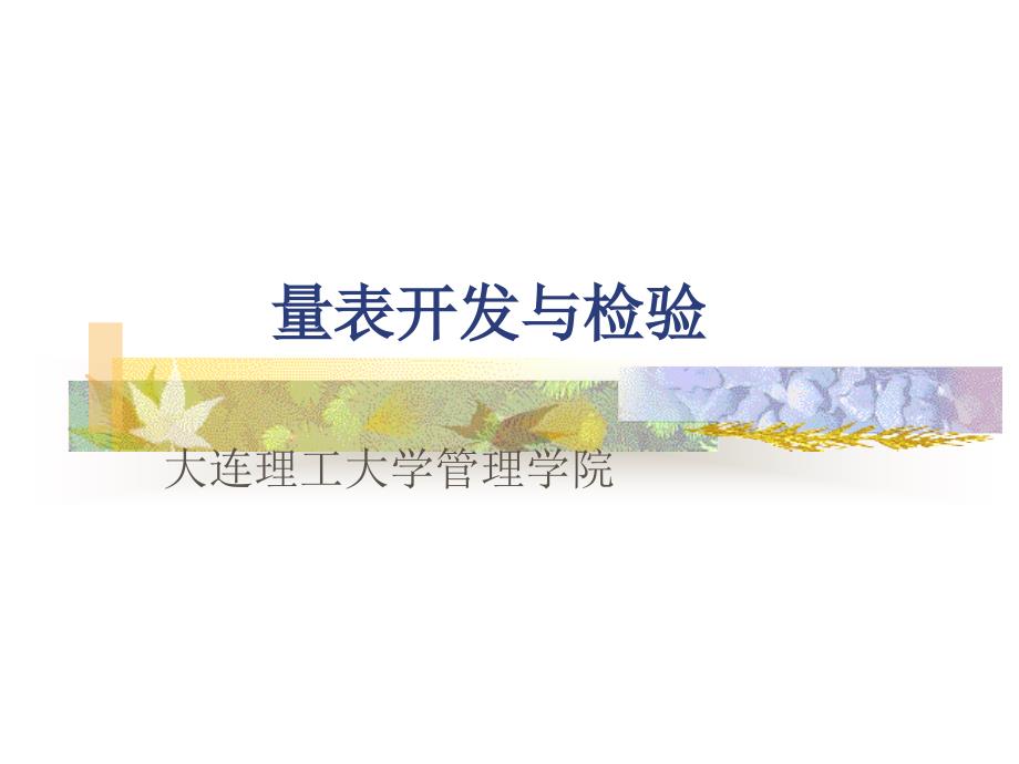 量表开发与检验ppt课件_第1页