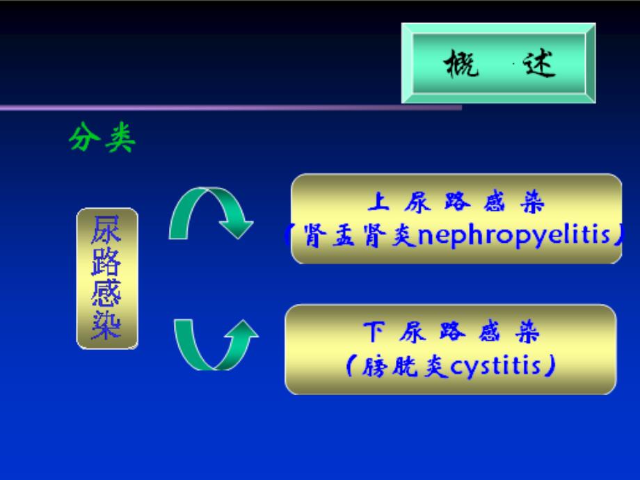 尿路感染urinary_第4页