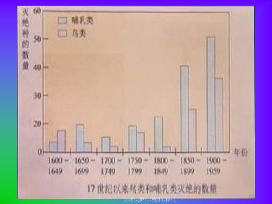 生物保护生物的多样性课件_第5页