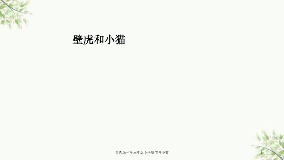 粤教版科学三年级下册壁虎与小猫课件_第1页