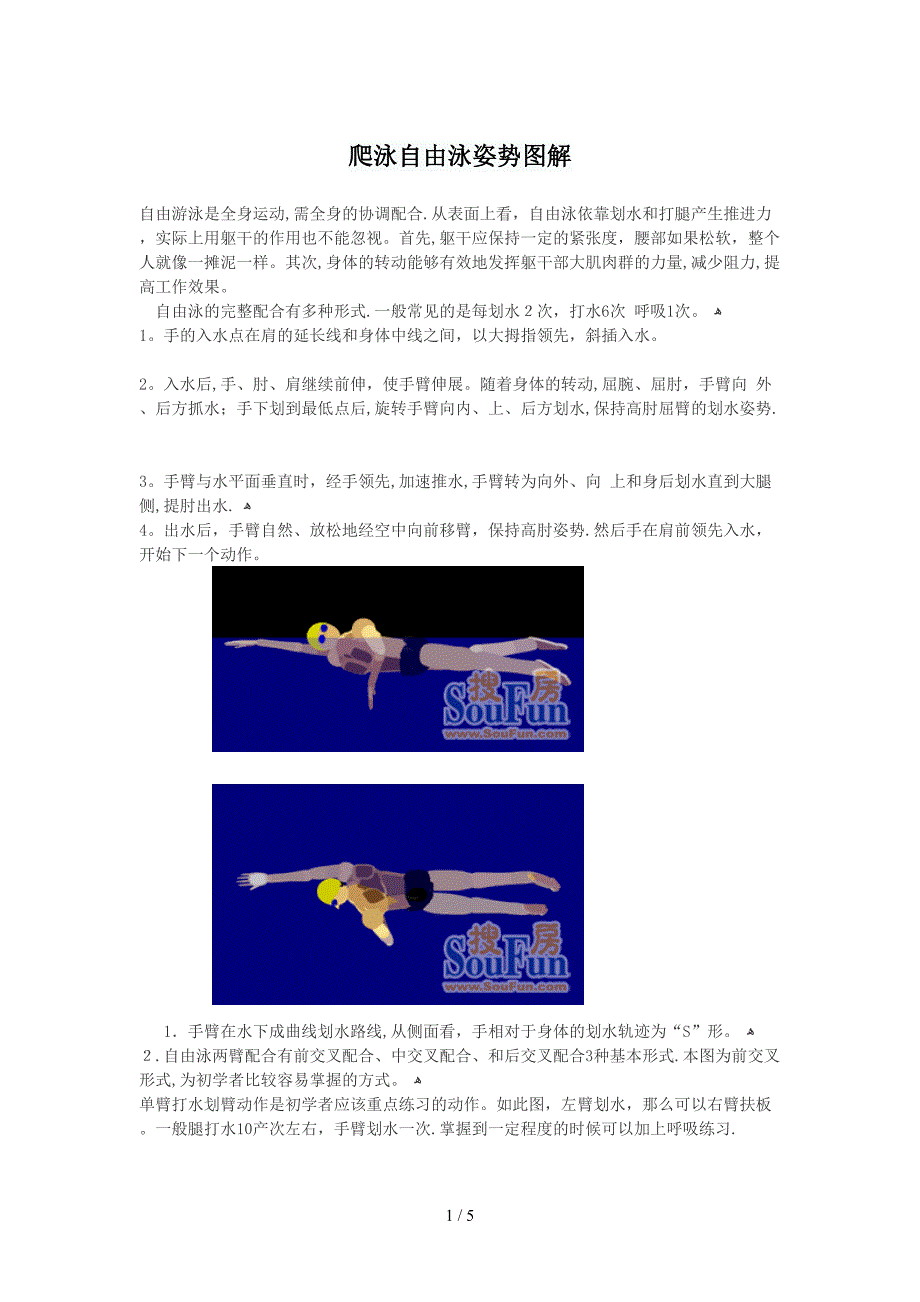 爬泳自由泳姿势图解_第1页