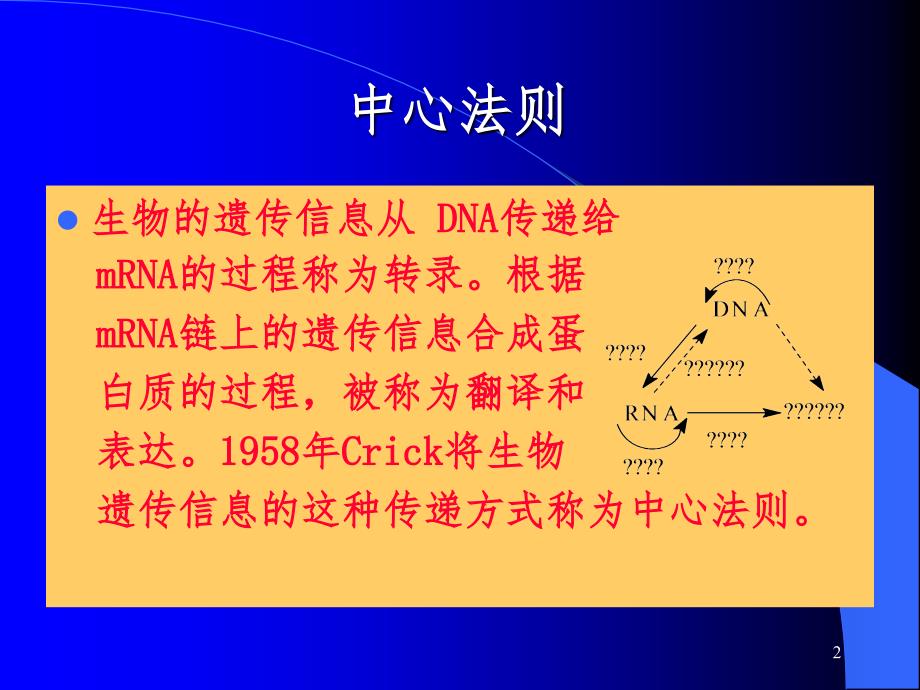 DNA复制PPT课件_第2页