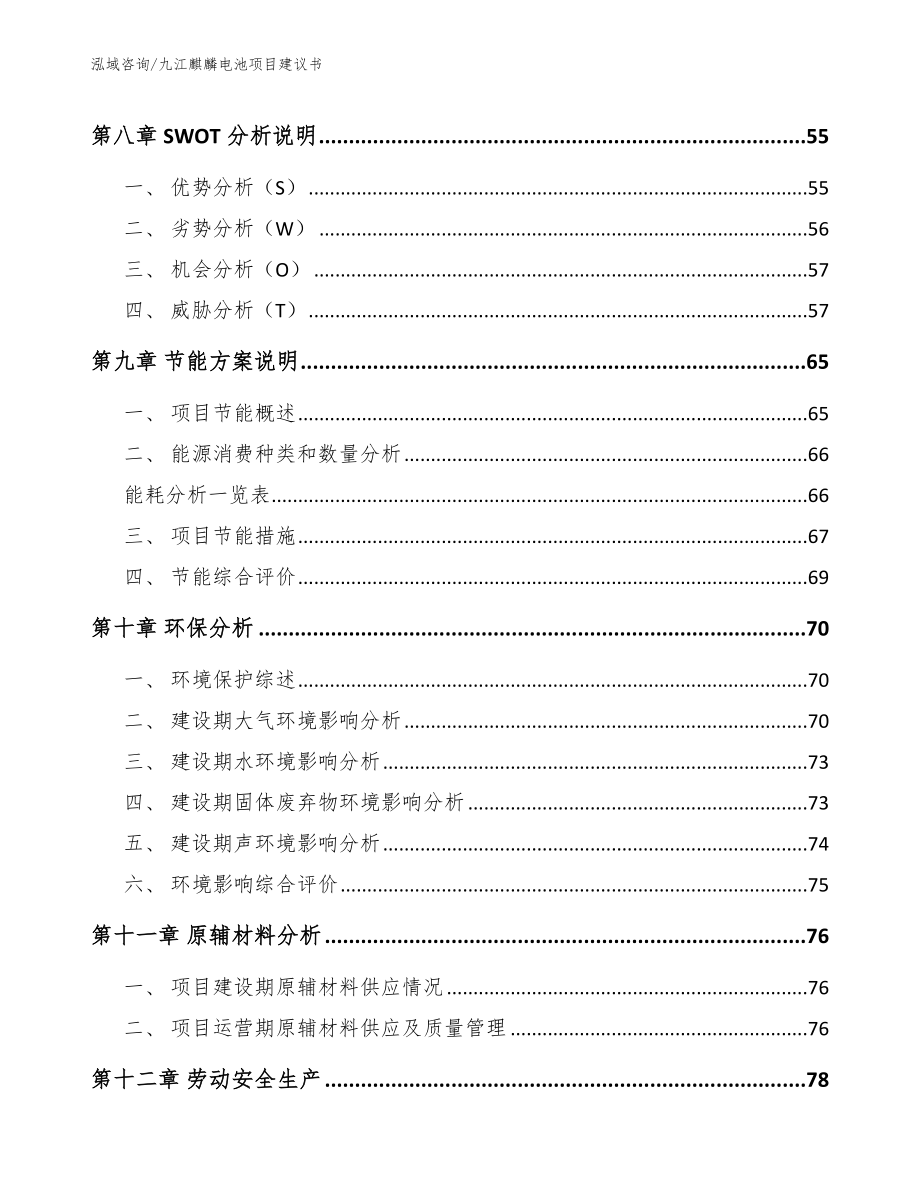 九江麒麟电池项目建议书_第3页