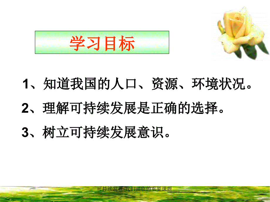 可持续发展我们面临的重要课题课件_第2页