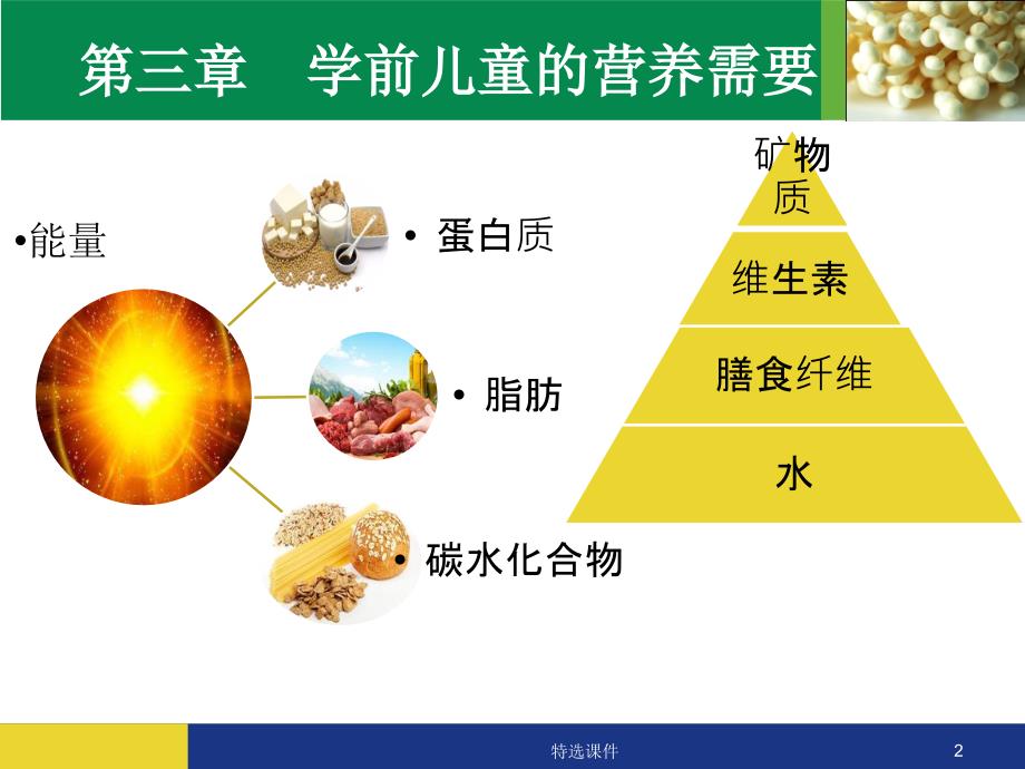 学前儿童的营养需要#专业教育_第2页