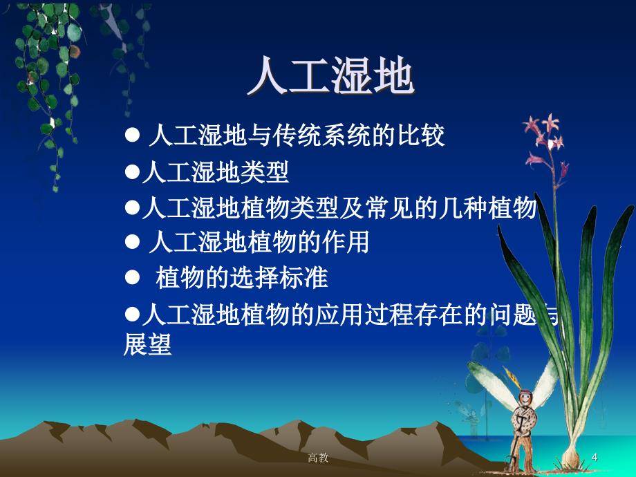 人工湿地植物【知识相关】_第4页