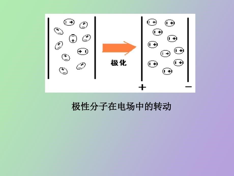 聚合物的电性能_第5页