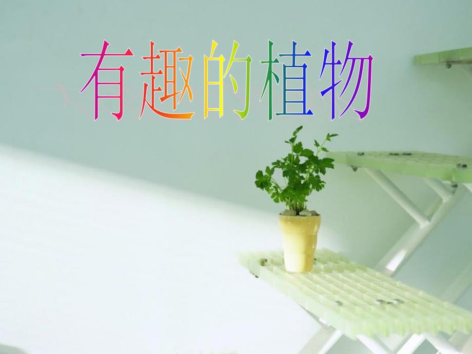 《有趣的植物》PPT课件.ppt_第1页