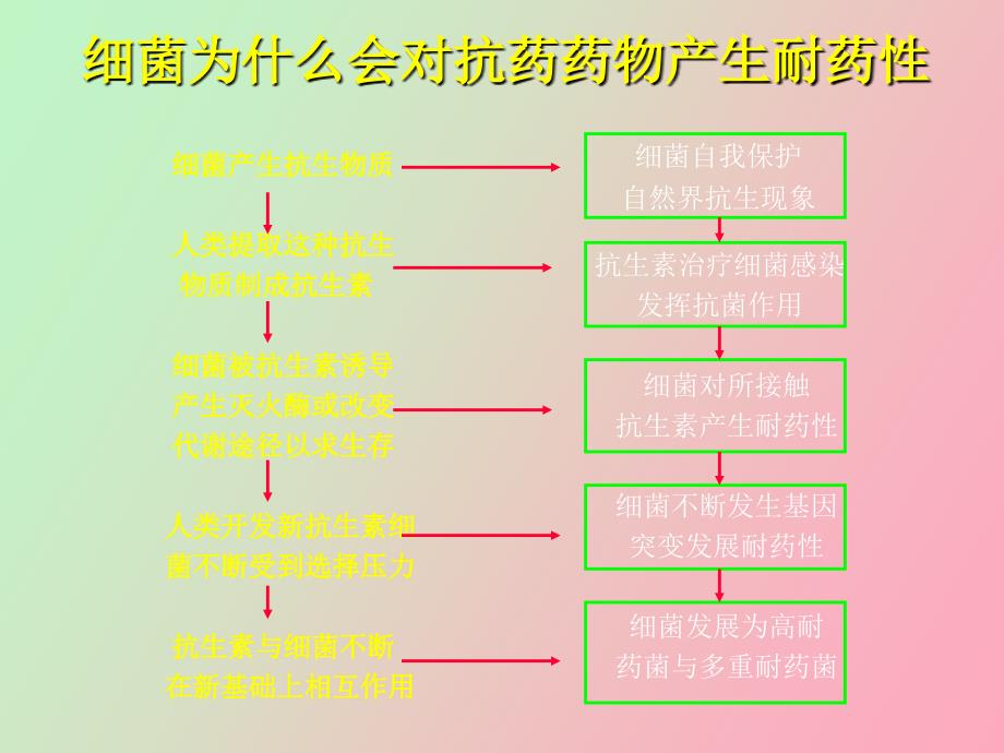 细菌耐药监测与抗菌药物的合理使用_第3页