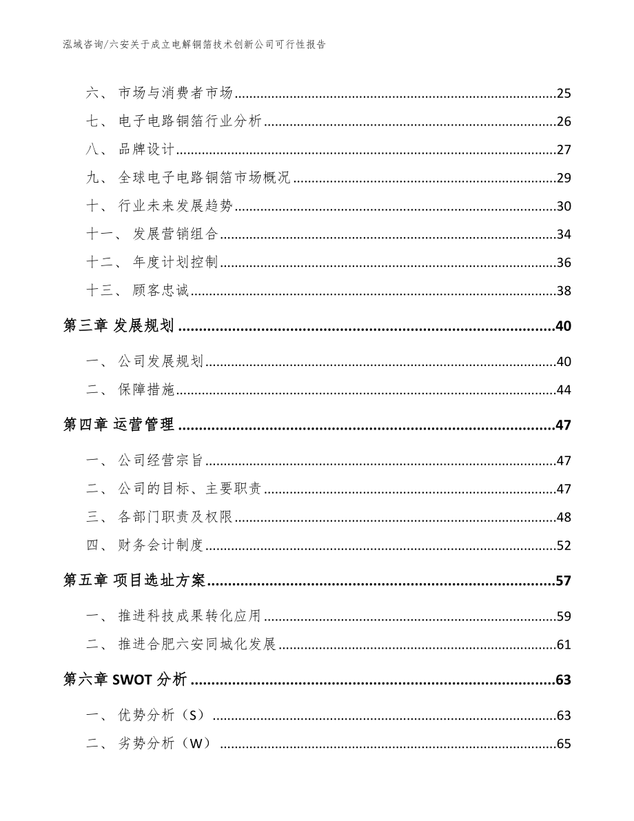 六安关于成立电解铜箔技术创新公司可行性报告_模板参考_第4页