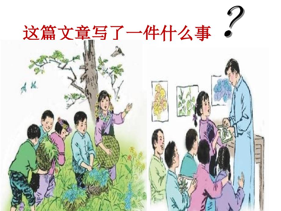 《绿叶的梦》PPT_第2页