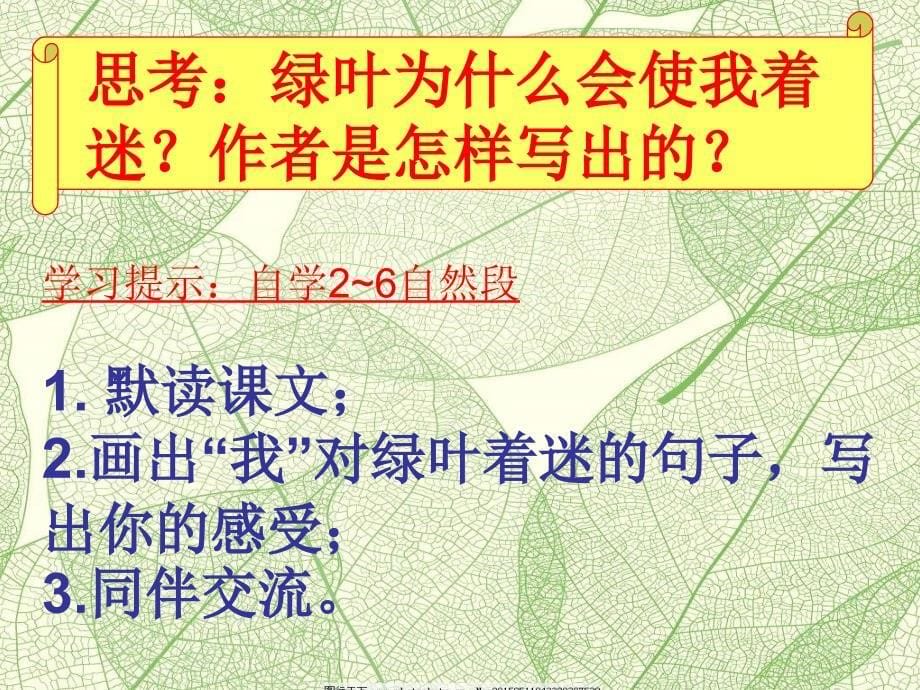 《绿叶的梦》PPT_第5页