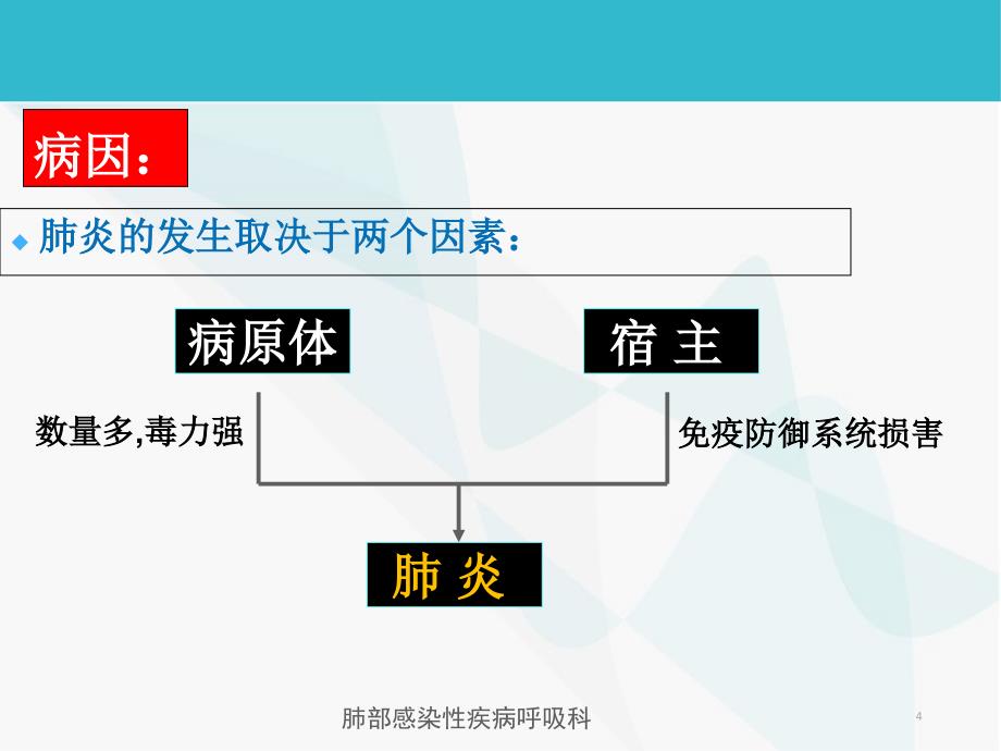 肺部感染性疾病呼吸科课件_第4页