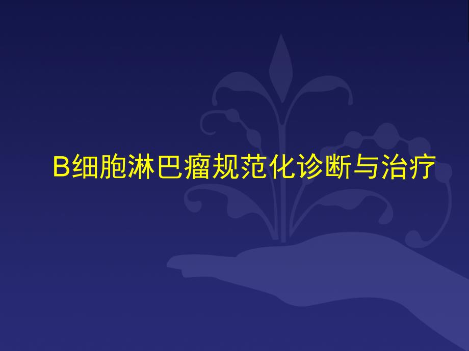 B细胞淋巴瘤诊疗规范.ppt_第1页