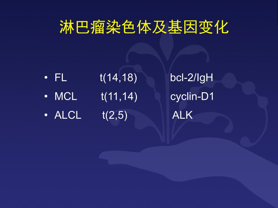 B细胞淋巴瘤诊疗规范.ppt_第3页