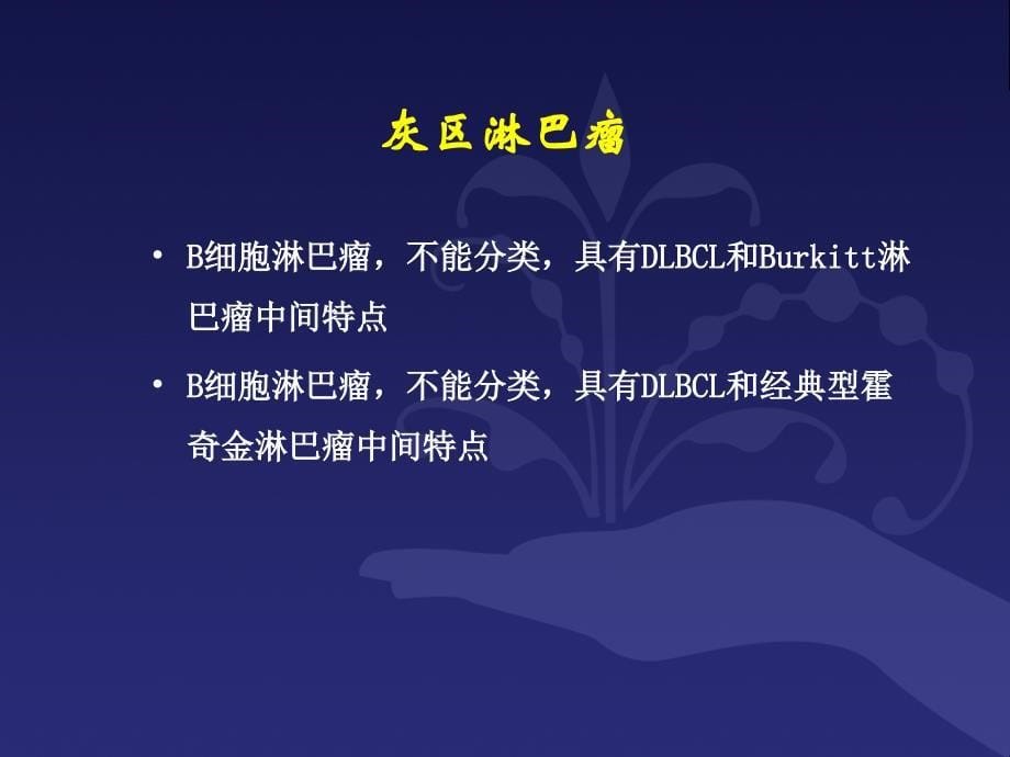 B细胞淋巴瘤诊疗规范.ppt_第5页