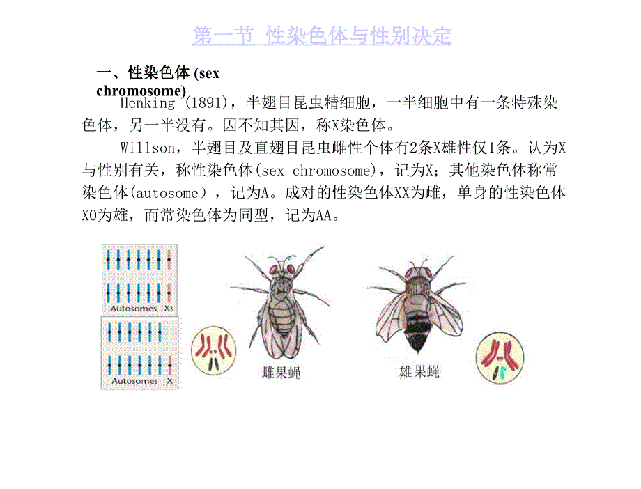 5连锁遗传6课时_第3页