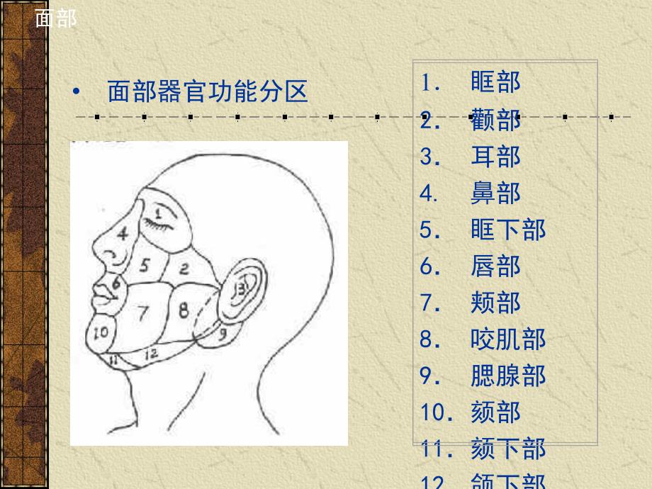 口腔护理基础ppt课件_第3页