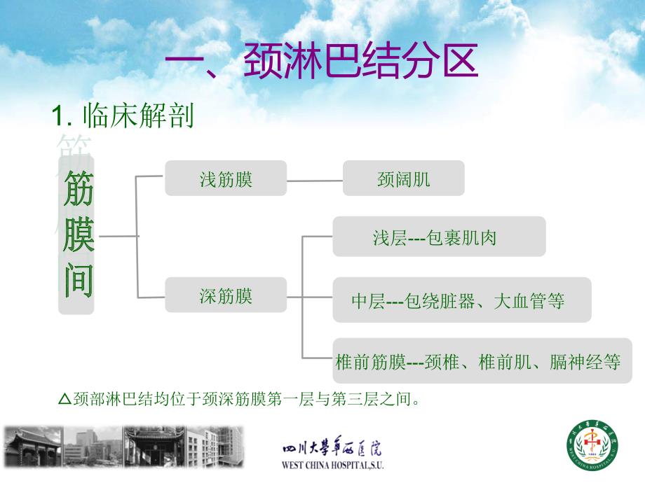 颈淋巴结分区及清扫术式分类课件_第2页