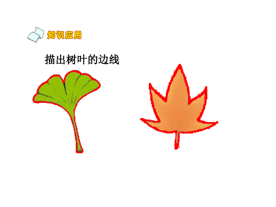 描出树的边线_第2页