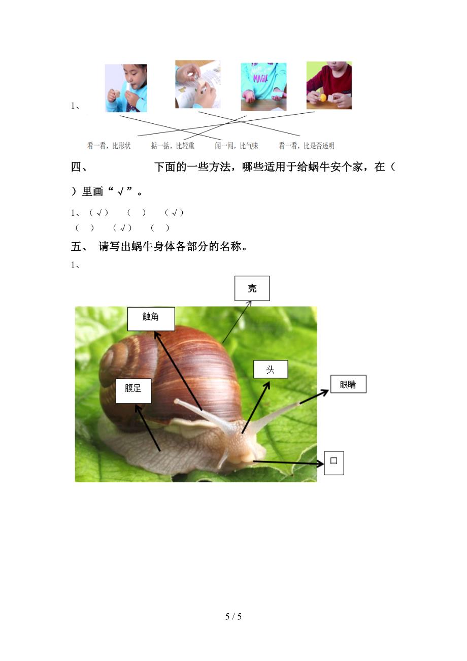 2022年苏教版一年级科学上册期中试卷及参考答案.doc_第5页