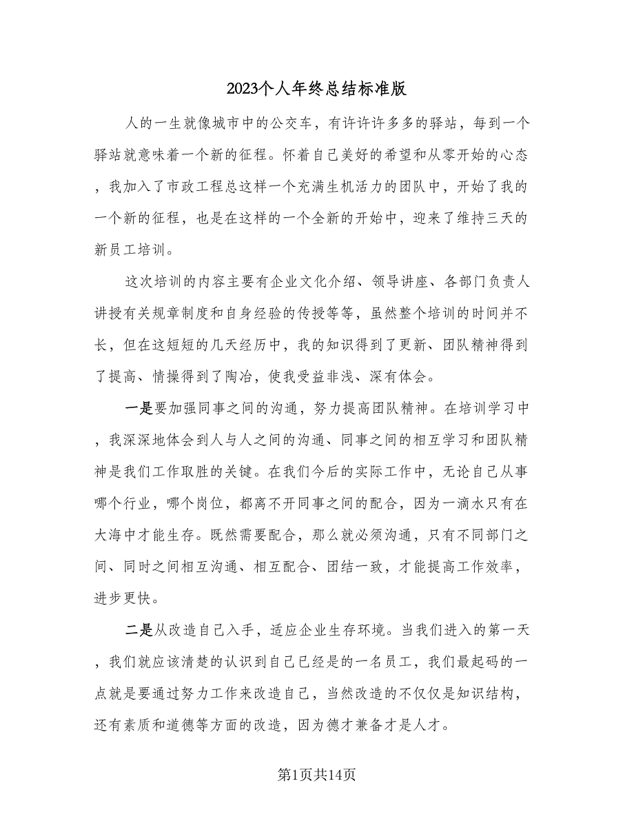 2023个人年终总结标准版（九篇）_第1页