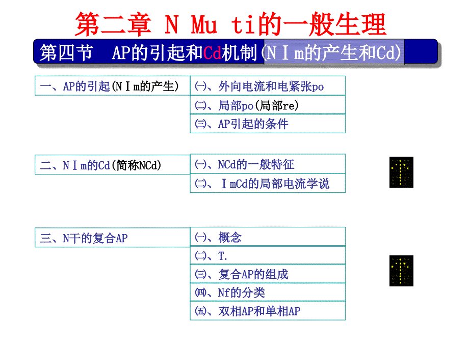 神经肌肉组织的一般生理110318传教学文案_第2页