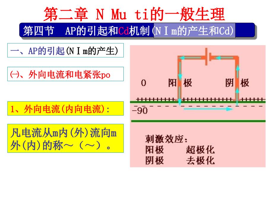 神经肌肉组织的一般生理110318传教学文案_第4页