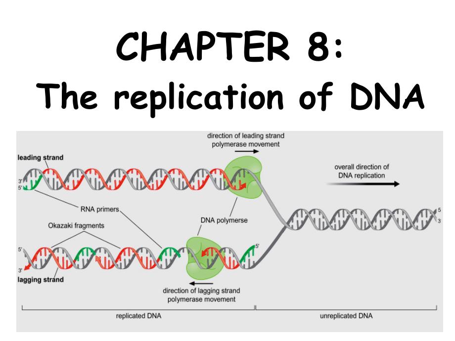 分子生物学张海红8 章_第2页