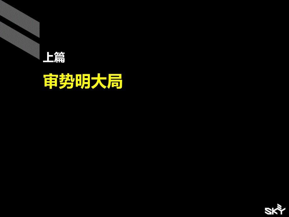 蚌埠怡康上河时代营销战略85P_第5页