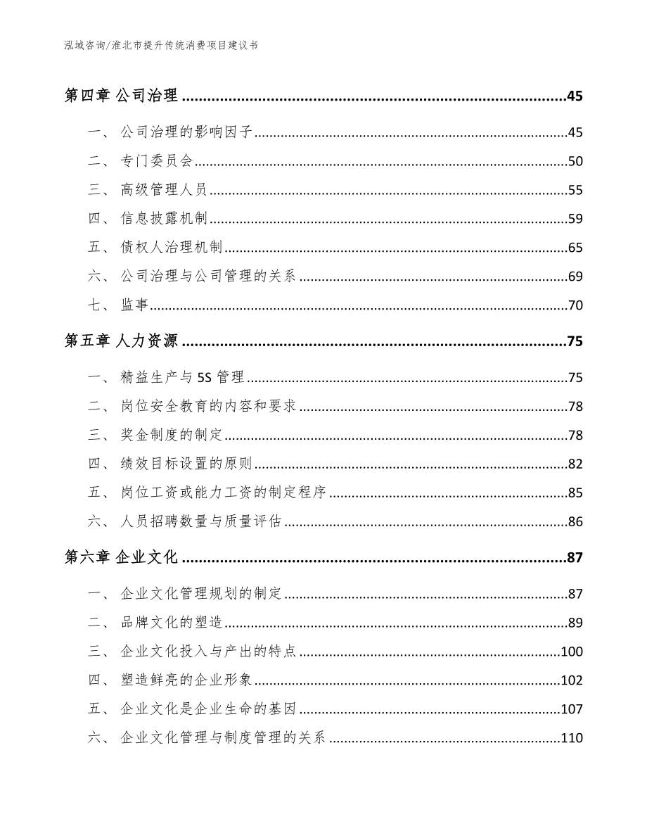 淮北市提升传统消费项目建议书_第2页