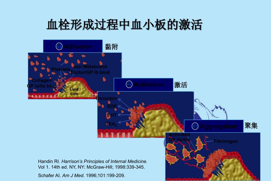 欣维宁盐酸替罗非班在急性冠脉综合症临床实际实际应用床实际实际应用_第3页