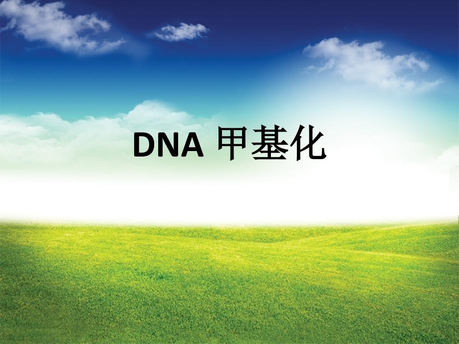 DNA 甲基化ppt课件.ppt_第1页