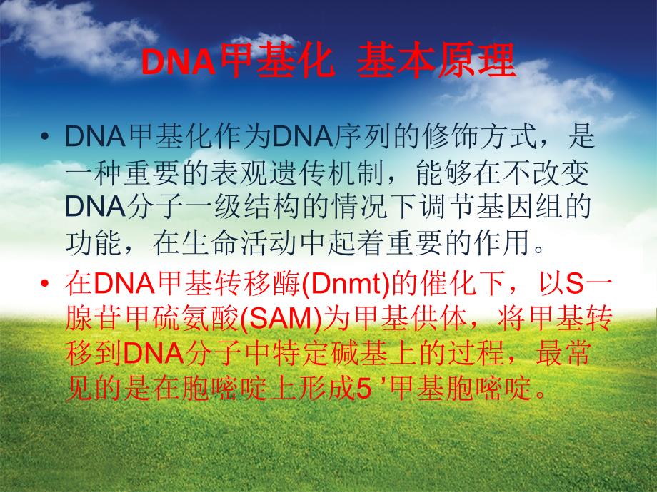 DNA 甲基化ppt课件.ppt_第2页